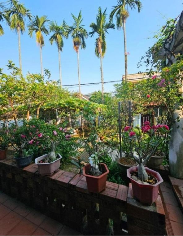Rose Hue Homestay *